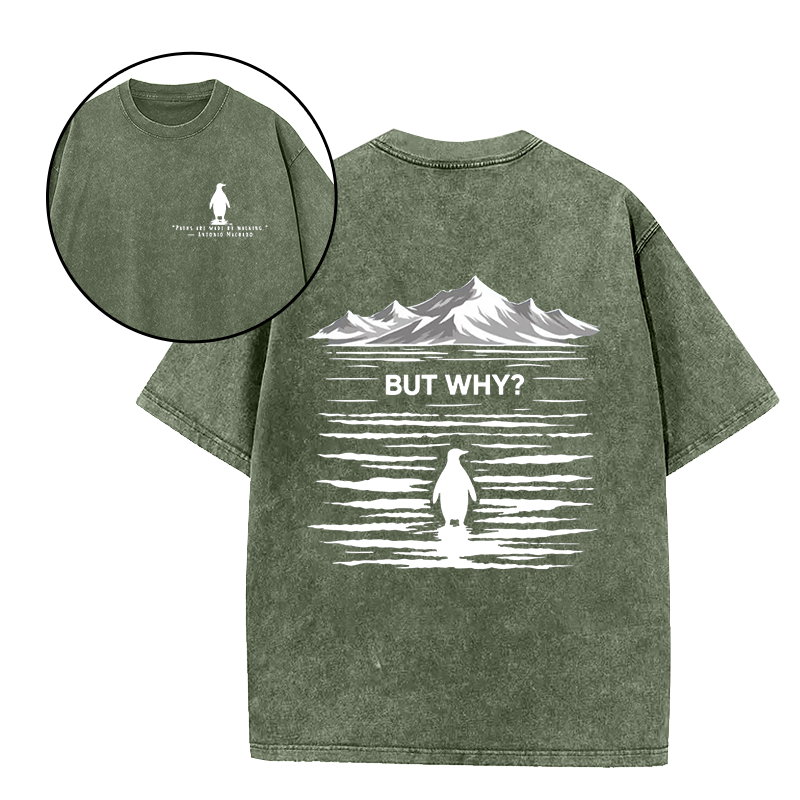 Paths Are Made By Walking But Why Unisex Tee