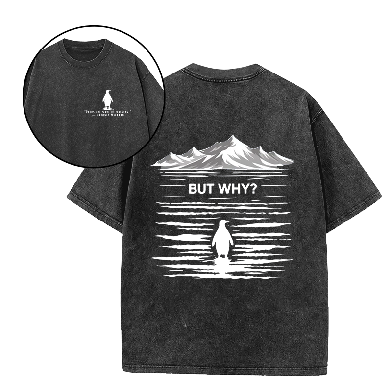 Paths Are Made By Walking But Why Unisex Tee