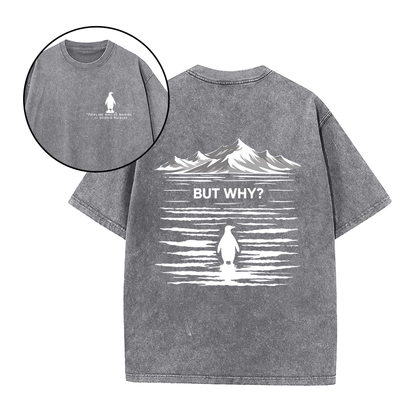 Paths Are Made By Walking But Why Unisex Tee