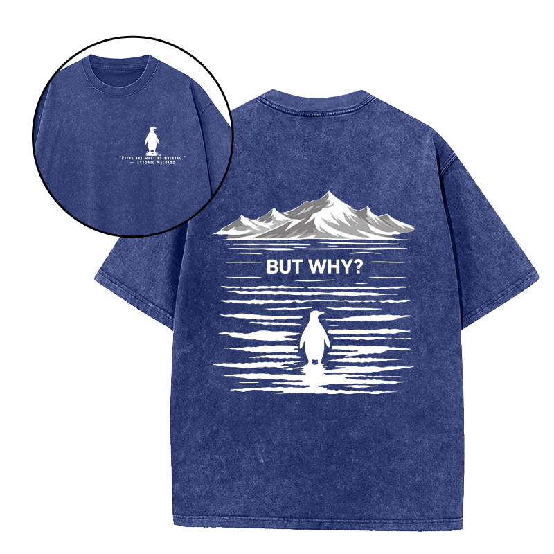 Paths Are Made By Walking But Why Unisex Tee