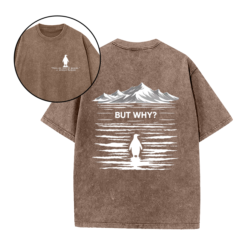 Paths Are Made By Walking But Why Unisex Tee